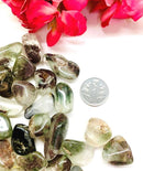 Shaman Quartz - Lodolite Tumble (Shamanic Healing)