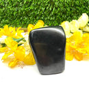 Shungite Free Forms (Protection & Detoxification)