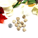 Small Clam Crystal (Brown) Rough