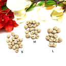 Small Clam Crystal (Brown) Rough