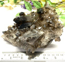 Smoky Quartz Cluster (Grounding & Balancing)