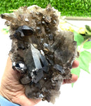 Smoky Quartz Cluster (Grounding & Balancing)