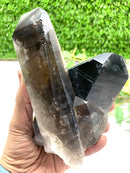Smoky Quartz Cluster (Grounding & Balancing)