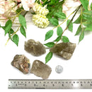 Smoky Quartz with Rutile Rough