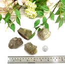 Smoky Quartz with Rutile Rough