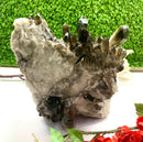 Large Smoky Quartz Clusters from Brazil