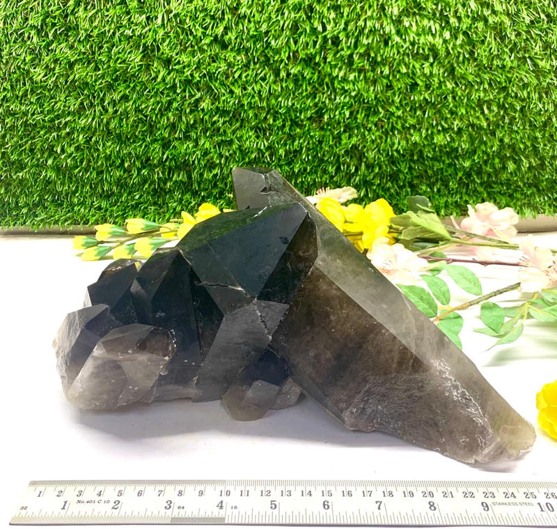 Smokey Quartz Clusters with Large Points