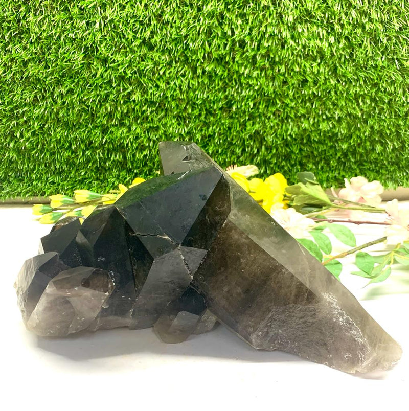 Smokey Quartz Clusters with Large Points