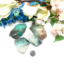 Sonora Sunrise Rough (Peace and Tranquility)