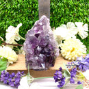 Standing Amethyst Clusters from Brazil AAA Quality (High Vibrations)