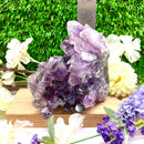 Standing Amethyst Clusters from Brazil AAA Quality (High Vibrations)