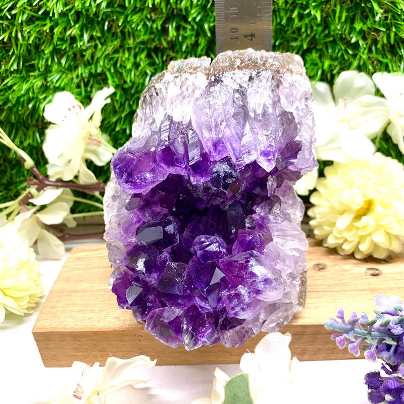 Standing Amethyst Clusters from Brazil AAA Quality (High Vibrations)