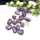 Stichtite Tumbled Stones (Emotional Healing)