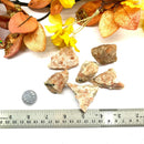 Sunstone Rough (Inspiration)