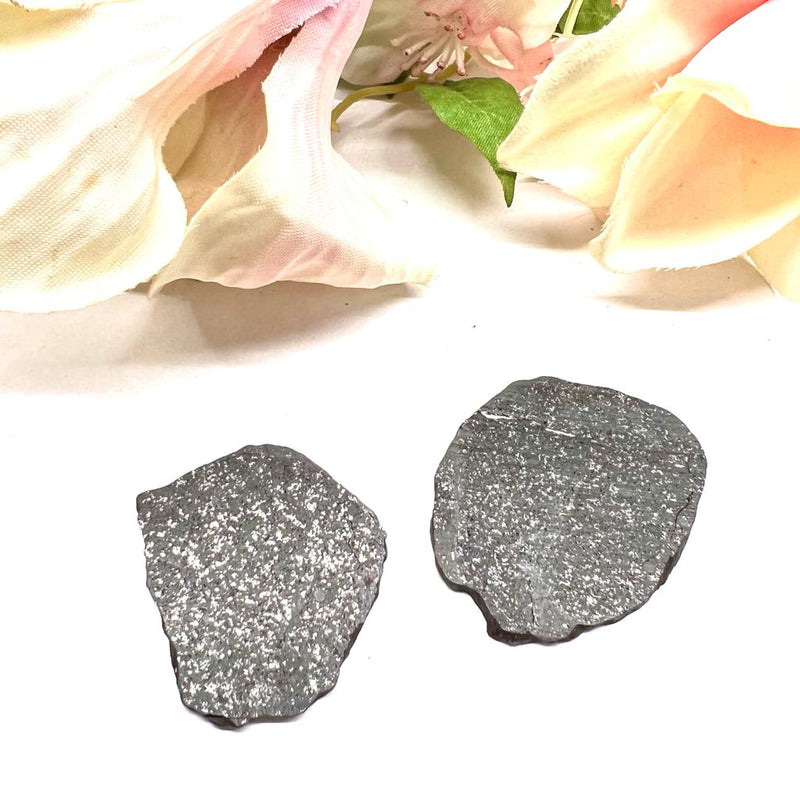 Tassedet 004 Meteorite