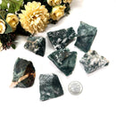 Tree Agate Rough (Abundance and Growth)