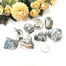 Tree Agate Rough (Abundance and Growth)