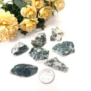 Tree Agate Rough (Abundance and Growth)