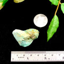 Turquoise Mineral Specimen (Roystone Mine, Nevada,USA)