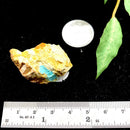 Turquoise Mineral Specimen (Roystone Mine, Nevada,USA)