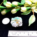 Turquoise Mineral Specimen (Roystone Mine, Nevada,USA)