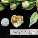 Turquoise Mineral Specimen (Roystone Mine, Nevada,USA)