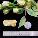 Turquoise Mineral Specimen (Roystone Mine, Nevada,USA)