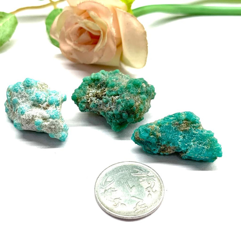 Turquoise with Pyrite Rough (Communication & Wealth)