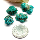 Turquoise with Pyrite Rough (Communication & Wealth)