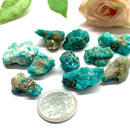 Turquoise with Pyrite Rough (Communication & Wealth)