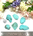 Rare Arizona Turquoise Rough (Communication & Psychic Powers)