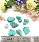 Rare Arizona Turquoise Rough (Communication & Psychic Powers)