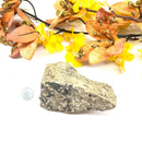 Turritella Agate (Connect to your Ancestors)