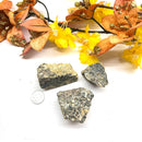 Turritella Agate (Connect to your Ancestors)