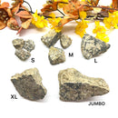 Turritella Agate (Connect to your Ancestors)