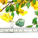 Variscite Rough from Australia (Unconditional Love)