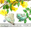 Variscite Rough from Australia (Unconditional Love)