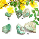 Variscite Rough from Australia (Unconditional Love)