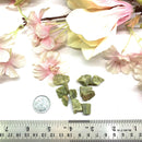 Vesuvianite Rough (Team Work)