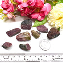 Watermelon Tourmaline Rough (Healing & Growth)