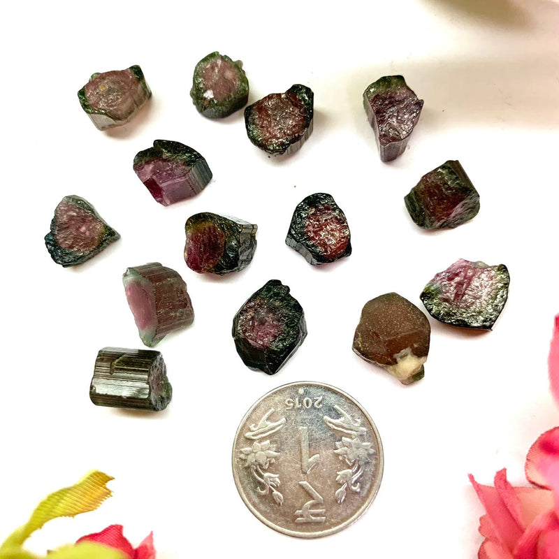 Watermelon Tourmaline Rough (Empathy and Compassion) (Chip Size)