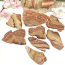 polished slices of Wave Dolomite / Rolling Hills Dolomite