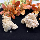 White Calcite  Flower Mineral Specimen