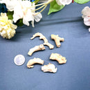 White Moonga Rough (Divine Connection )