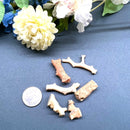 White Moonga Rough (Divine Connection )