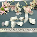 White Moonstone Rough (Emotional Balance)