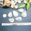 White Moonstone Cabochon (Release Aggression)
