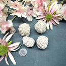 White Desert Rose Rough (Calmness & Meditation)