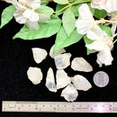 White Opal Rough (Emotional Stability)