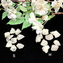 White Opal Rough (Emotional Stability)